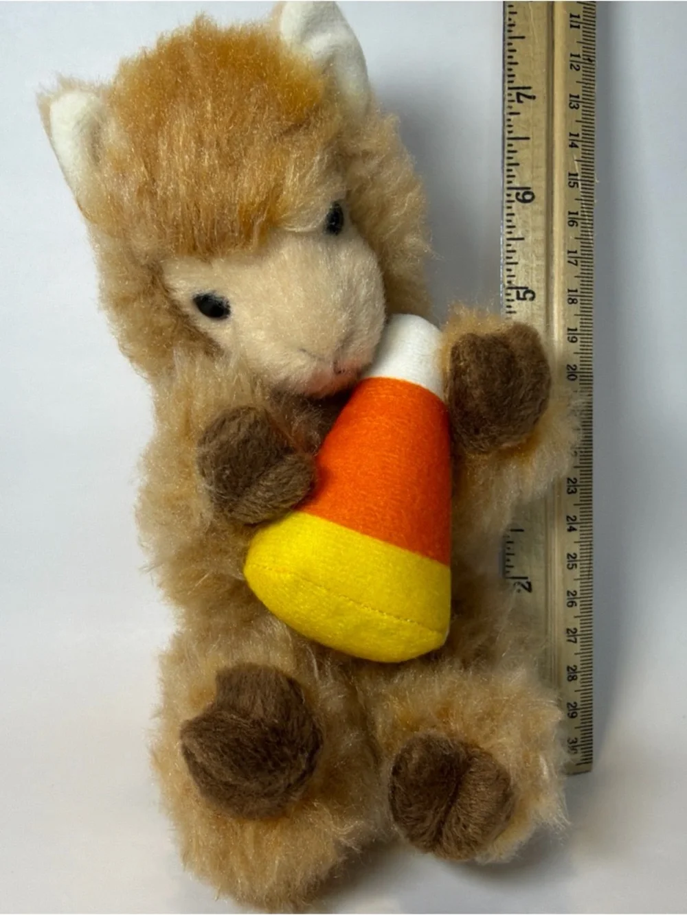 Douglas rare alpaca